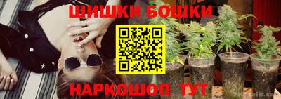 бошки Гагарин