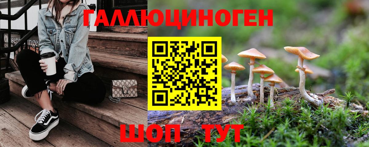 Псилоцибиновые грибы Psilocybine cubensis  Вход с VPN  где купить наркоту  Кимовск  Псилоцибиновые грибы Psilocybe 