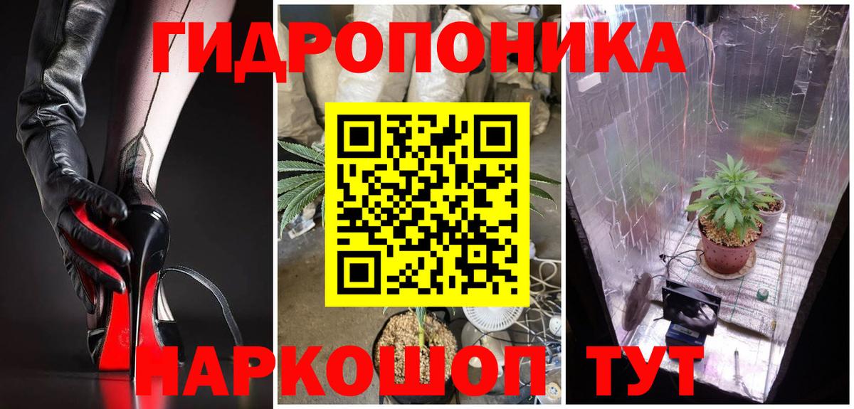 Канабис семена Кимовск